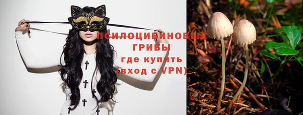 ALPHA-PVP Алексеевка