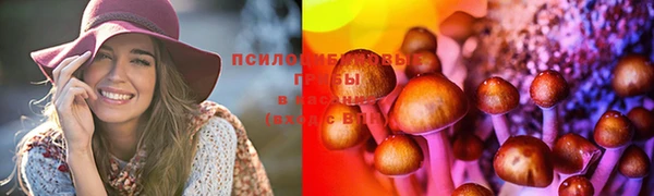 ALPHA-PVP Алексеевка