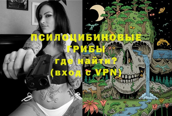 ГАЛЛЮЦИНОГЕННЫЕ ГРИБЫ Алзамай