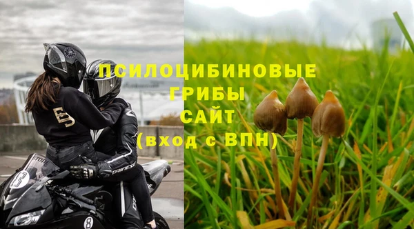 ГАЛЛЮЦИНОГЕННЫЕ ГРИБЫ Алзамай
