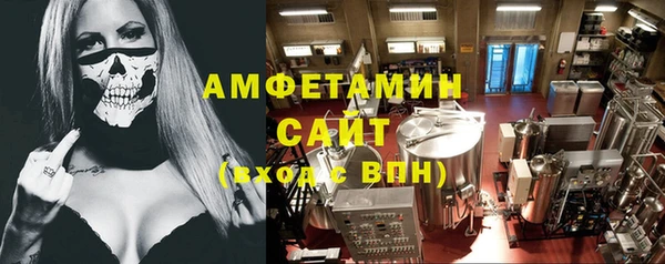 ГАЛЛЮЦИНОГЕННЫЕ ГРИБЫ Алзамай
