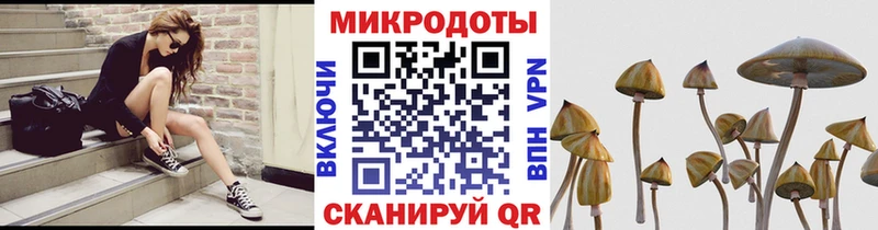 Псилоцибиновые грибы Magic Shrooms  закладка  Уяр 
